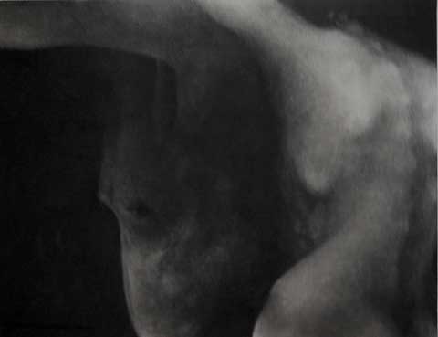 drawing titled Veiled