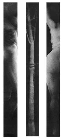 drawing titled Unhomelike #2