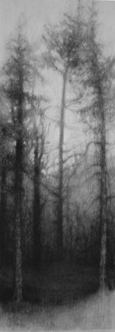 drawing titled Through the Firs